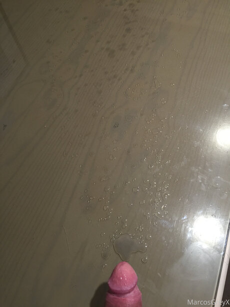 クーガーオンリーファンズ エロチック 写真