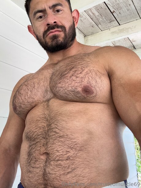 Mateo Muscle 限定スター ギャラリー