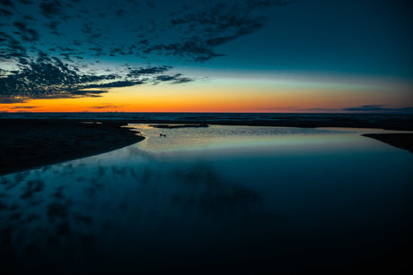 MissGrizz 裸モデル 写真