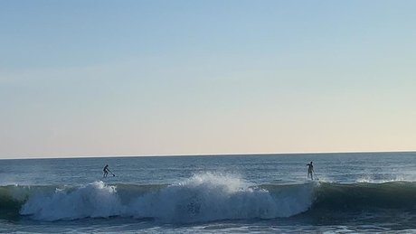 Naked on the board アートモデル 画像