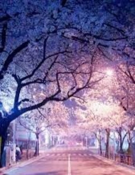 mu so you 素敵なポルノスター アーカイブ