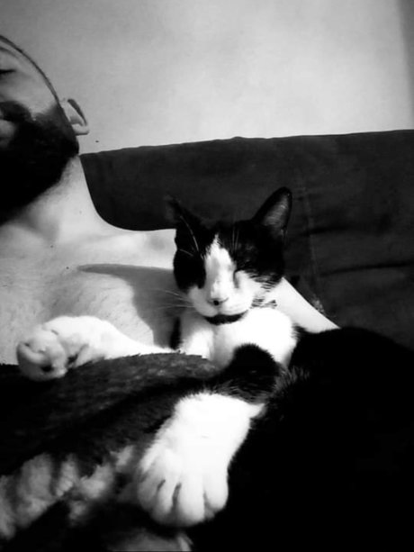 MrSerban 裸のスター 写真