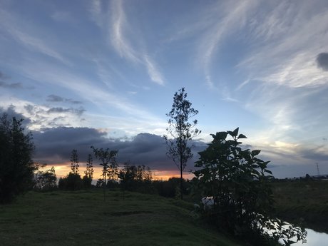 Daniela Maria 高品質女優 画像