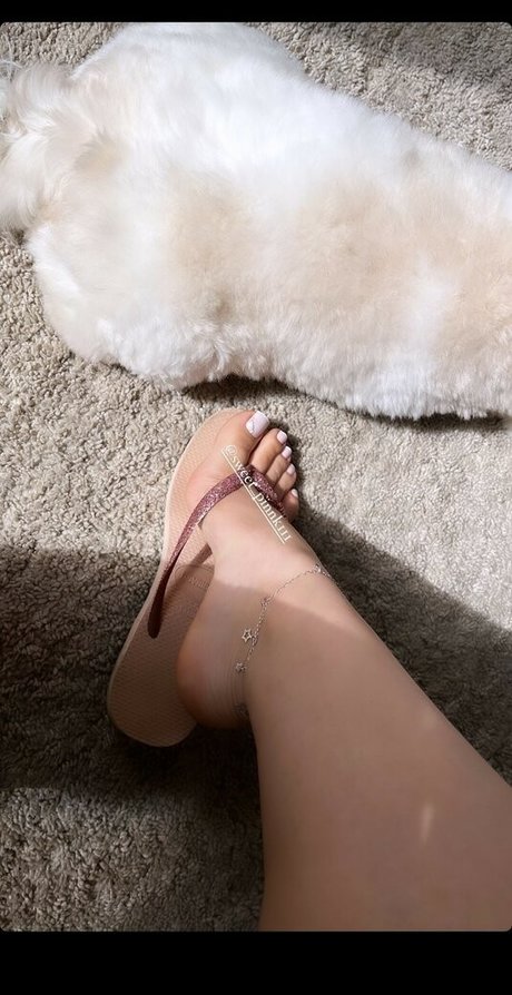 sweet pinnk1 HDモデル 写真