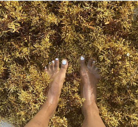 BBW 無料 オンリーファンズ 無料ヌード 写真