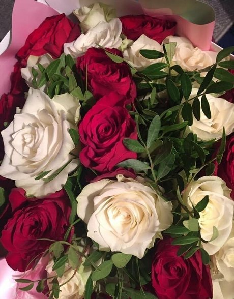 ayakofuji xxx女優 画像