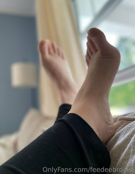 feedeebrooke 高品質スター ギャラリー