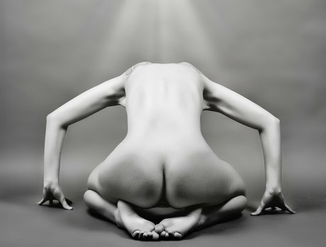 車椅子専用ファン セクシー 画像