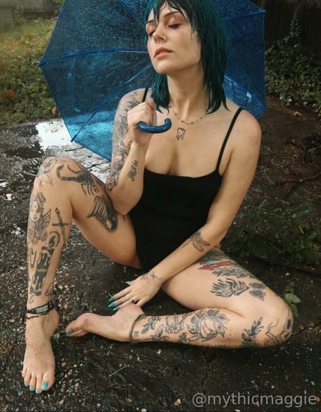 ブラジルの猫オンリーファンズ 無料 画像