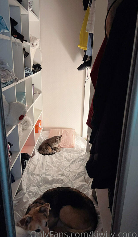 ゲイアナル舐めオンリーファンズ えろ 写真