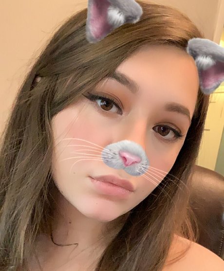 黒檀の猫オンリーファンズ 美しい ギャラリー