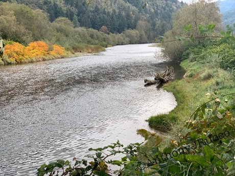 Northwest Cowboy Casanova 高品質女優 画像