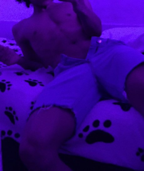 niv 完璧なポルノスター 画像