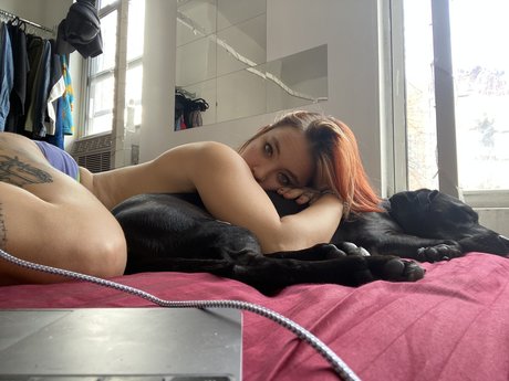 Thaddy セックスポルノスター アーカイブ