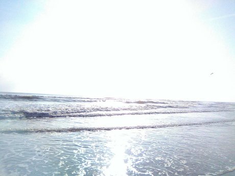 ポニーテールオンリーファンズ ホットポルノ 画像