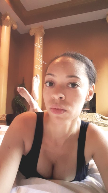 Perfect Pam Free 最高のスター 画像