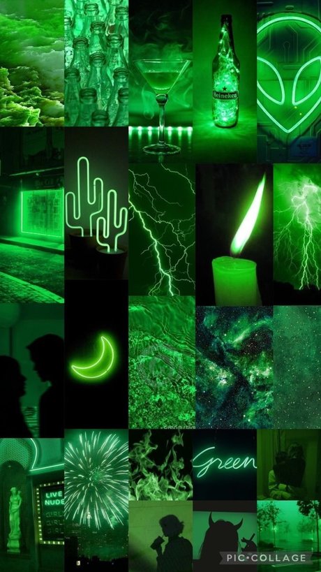 BBW TS オンリーファンズ えろた 画像