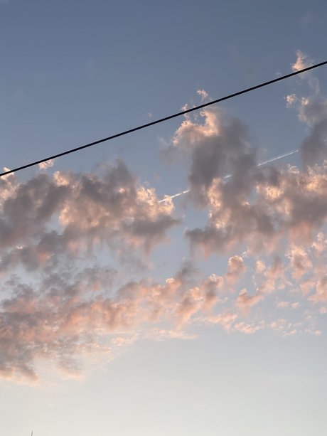 Pinta Exceptionnelle ポルノスター アート 画像