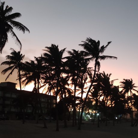 PIELCANELAFeet エロティックモデル ギャラリー