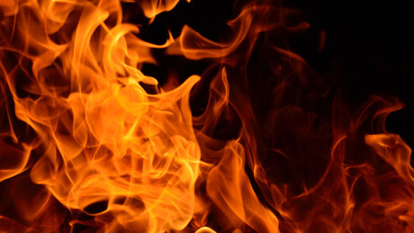 ヒジャブオンリーファン 素敵 ギャラリー