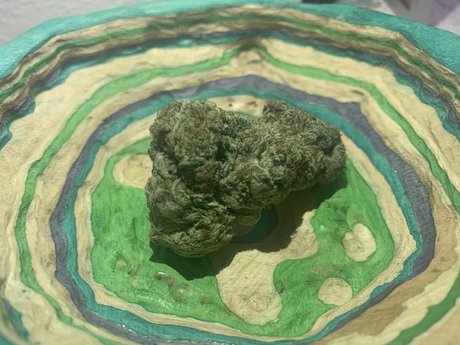 Johnny Depth ポルノスター 写真