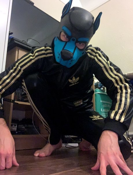 Pup Valto 可愛い女優 写真