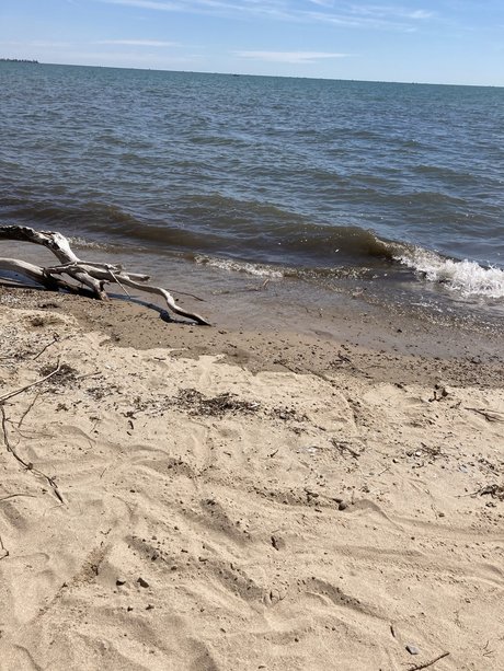 PrincessGlitterSparkles 女優 アーカイブ