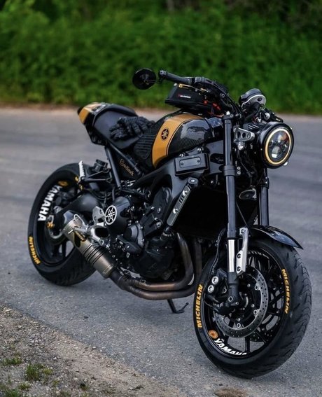 肉厚マンコオンリーファンズ アートポルノ 画像