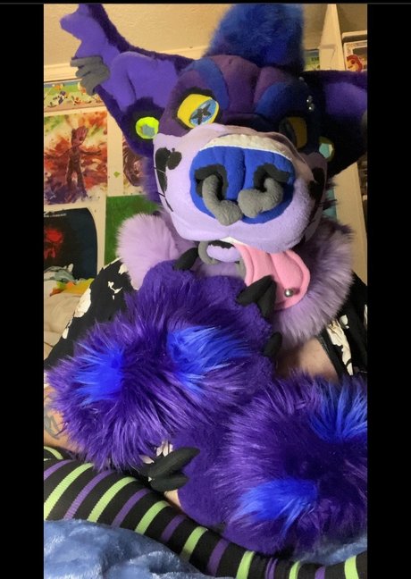 RexThePitbull 美しいスター 写真