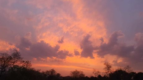 Dreamgirl Montana かわいいスター 画像