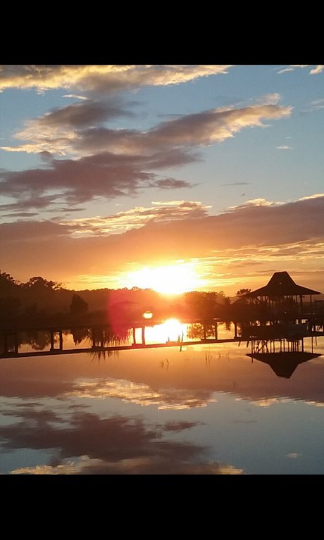 ブラジルの猫オンリーファンズ セクシーヌード 写真
