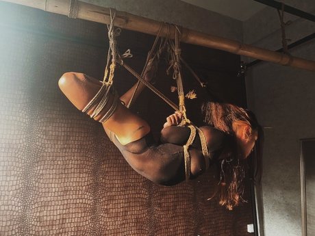 Sandi 素敵なスター ギャラリー