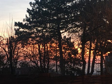 Matthiek 素敵なモデル アーカイブ