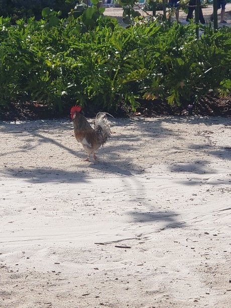 アジア人のティーンの足 オンリーファンズ セクシーxxx ギャラリー