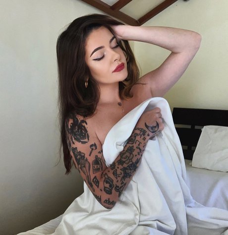 Beau Rose 完璧なスター 写真