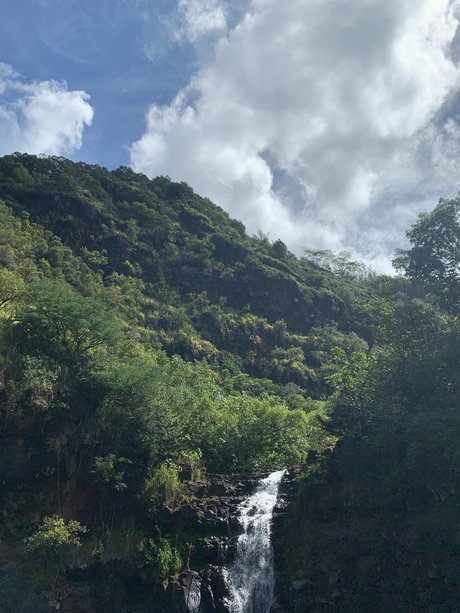 Beau Rose ポルノスター 独占 ギャラリー