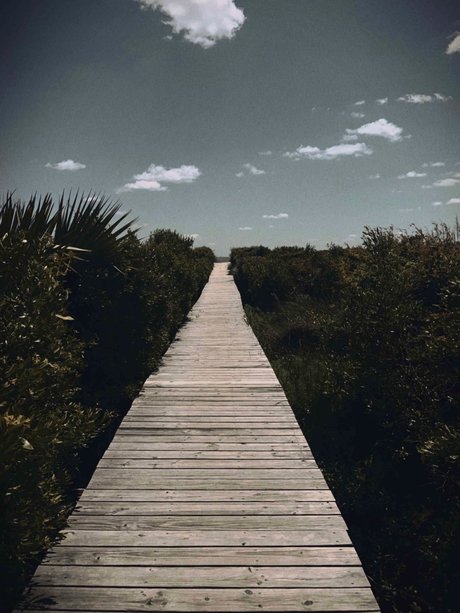 NC Med Student スター 裸 写真