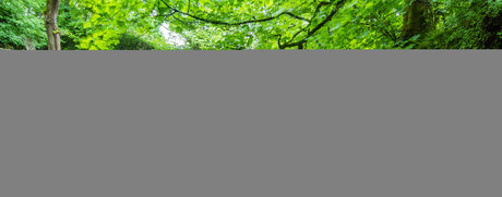 Maxine After Dark 高品質スター 画像