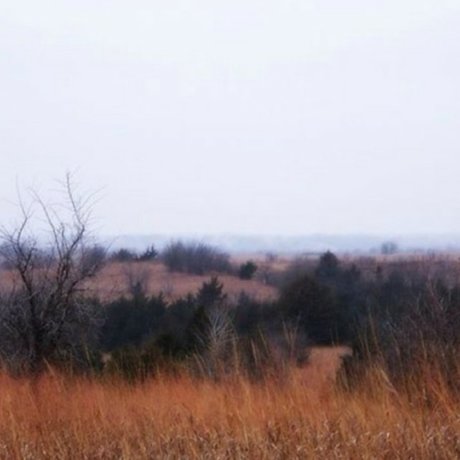 Dirty Gertie 高品質のスター ギャラリー