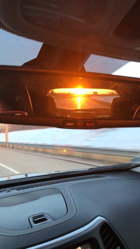 Bela Dawn ヌードスター 画像