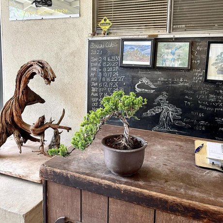 Mae Col 無料のポルノスター 画像