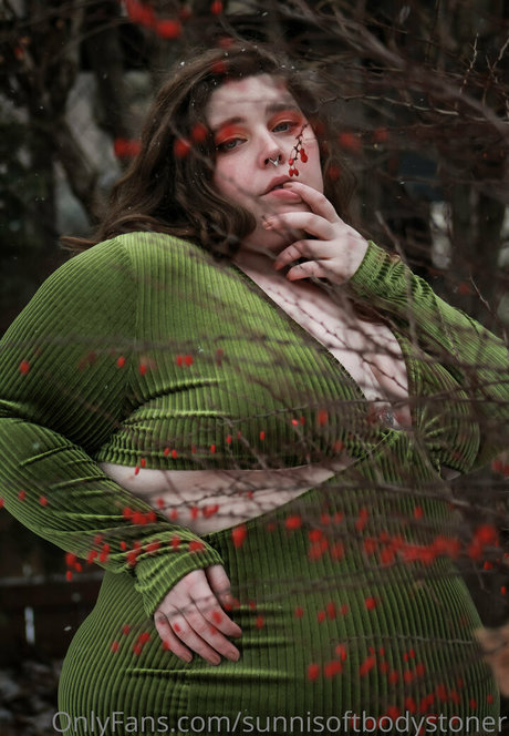 sunnisoftbodystoner アートポルノスター アーカイブ