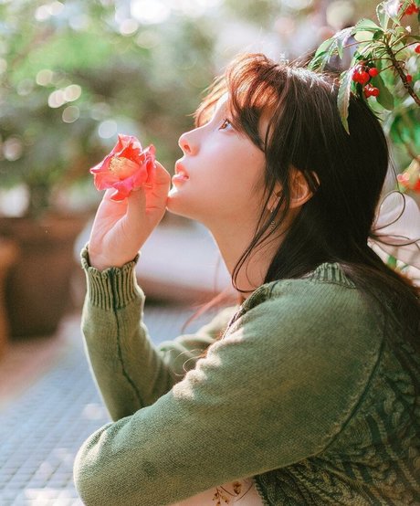 プリティオンリーファンズ トップ 写真