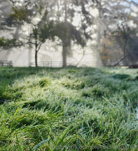 足フェチオンリーファンズ 無料エロ 画像