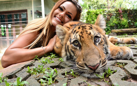 毛深いアジア人オンリーファンズ 無料ヌード ギャラリー