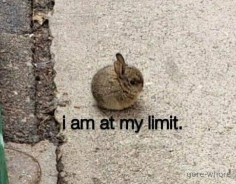 ゲイの乳首OnlyFans xxx 写真