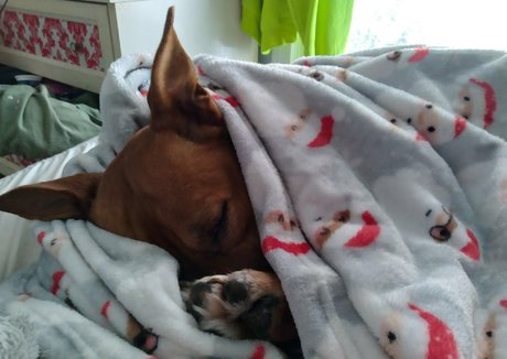 phoebefatter ホットなモデル 画像