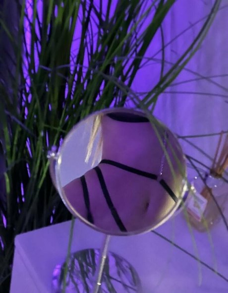 abellamurr スター 写真