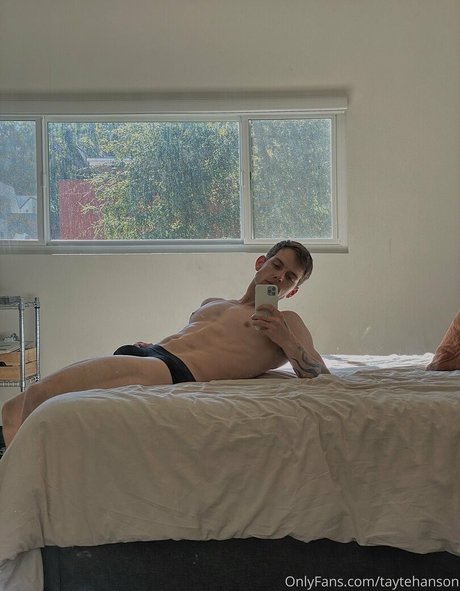 taytehanson モデル ギャラリー