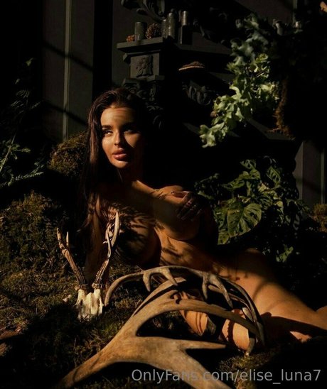 elise luna7 高品質のポルノスター 画像